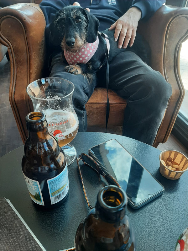 [Image: IMG-20240501-WA0020.jpg]