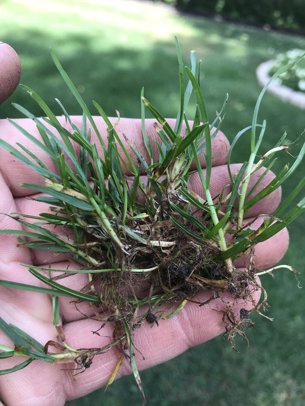 7A1E7C97-7F88-4FFB-9E5A-86A12180FB58