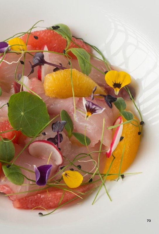 Ric di Pesce per il mio Bimby Lug-Ago 2025 (12)