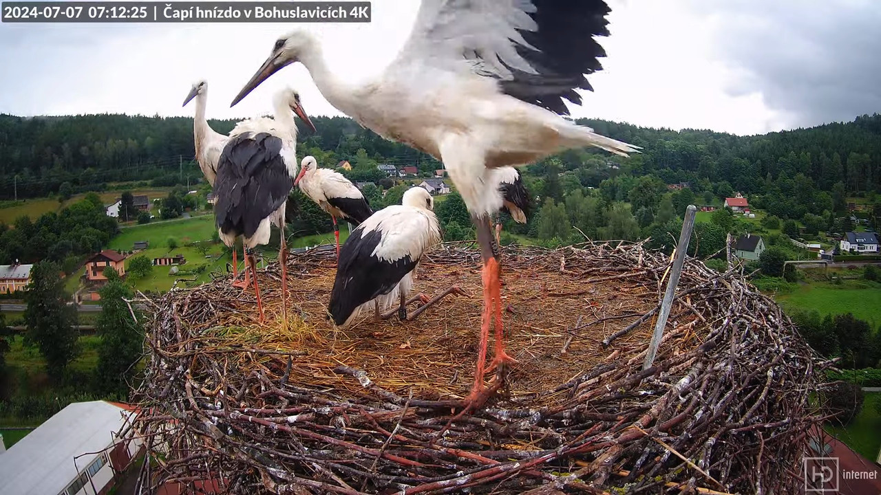 Tiešraidē no uzņēmuma KARA stārķa skursteņa Bohuslavicē pie Trutnovas 7-35-40 screenshot