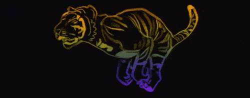 GIF-20250828-171931-598.gif