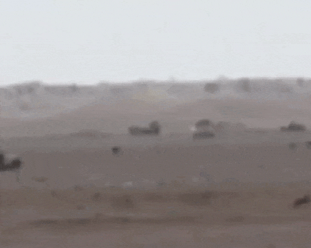 https://i.postimg.cc/sXF5DnYF/video-2026-07-12-03-54-47-(1).gif