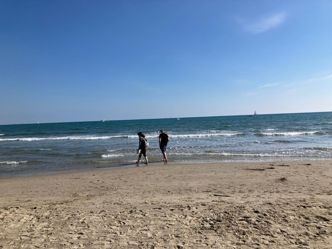 WhatsApp Image 2025-03-16 at 21.51.20