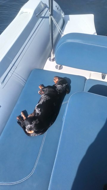 [Image: DSC-0741.jpg]