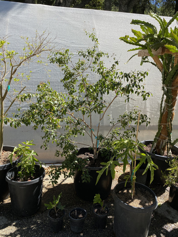 43C627AF-AF9B-4095-AA97-BBA5F6E8C357