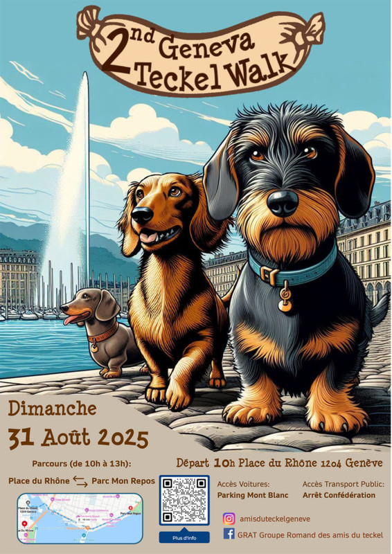 [Image: IMG-20250821-WA0004.jpg]