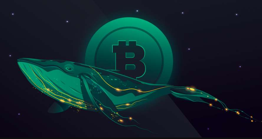 article imageЧто покупали киты на этой неделе