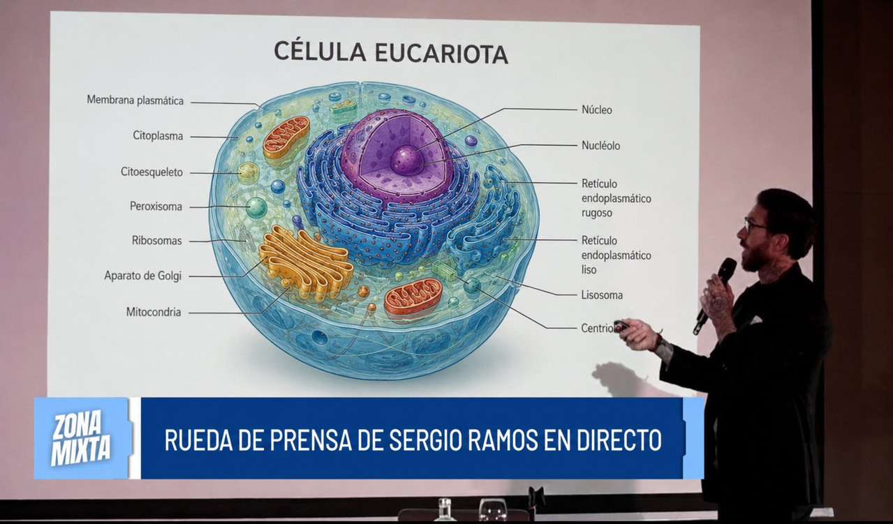 Imagen