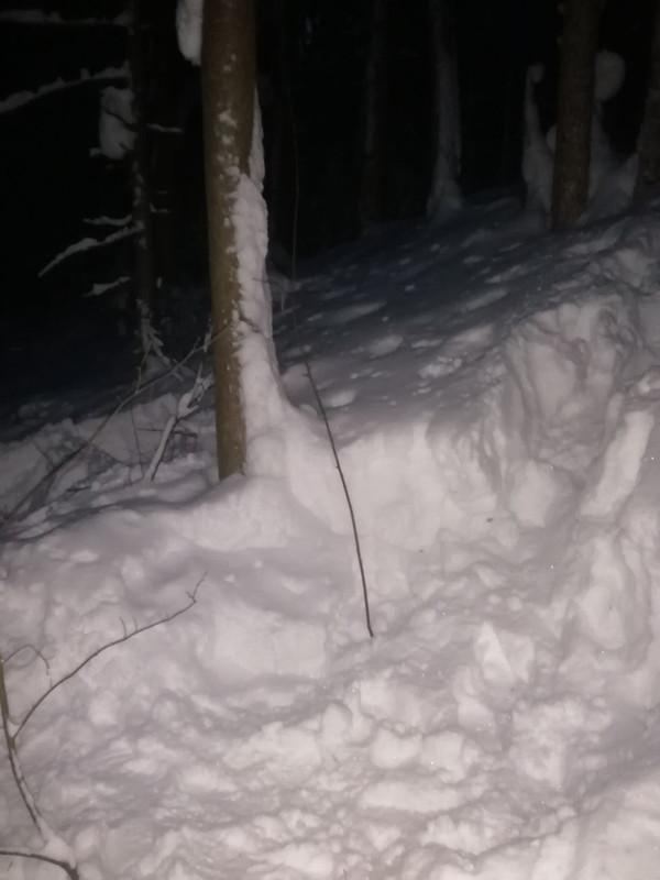 IMG 20260215 192520 257