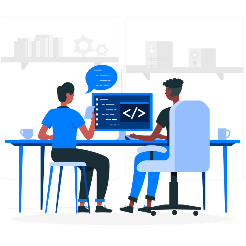 Custom software development illustration