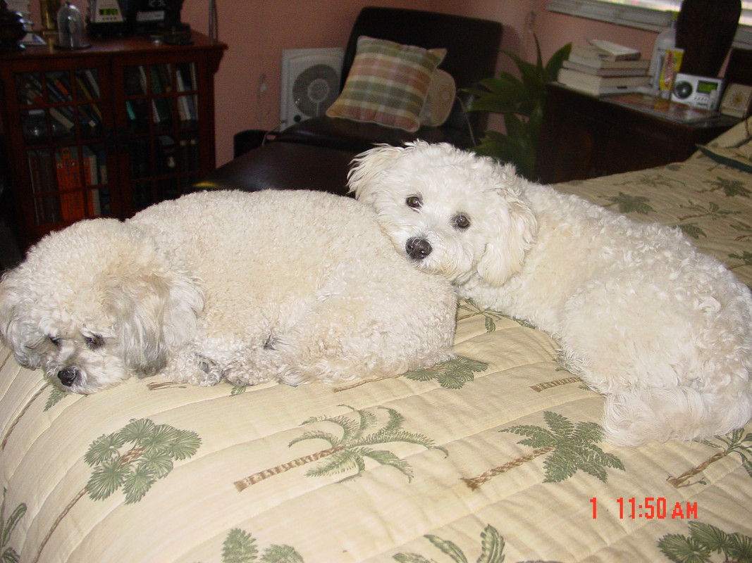 Gracie & Oliver 032813
