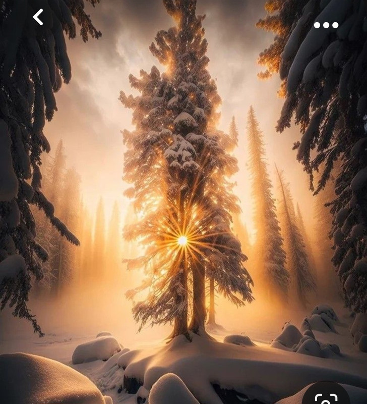 Screenshot_20231103_184908_Pinterest