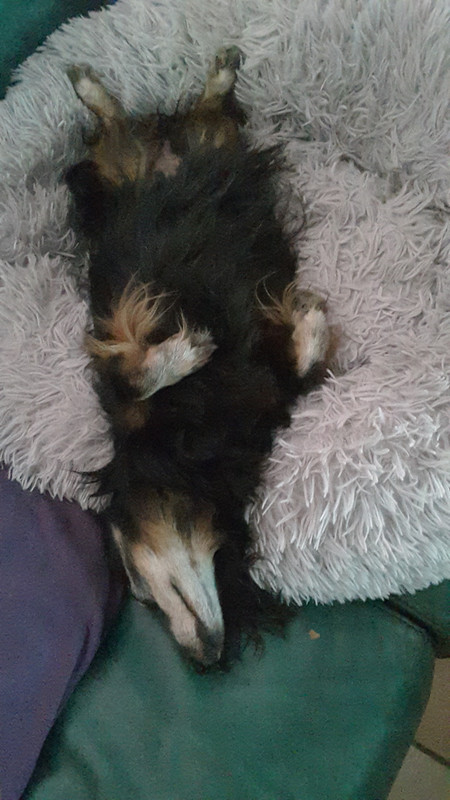 [Image: 20220810-210127.jpg]