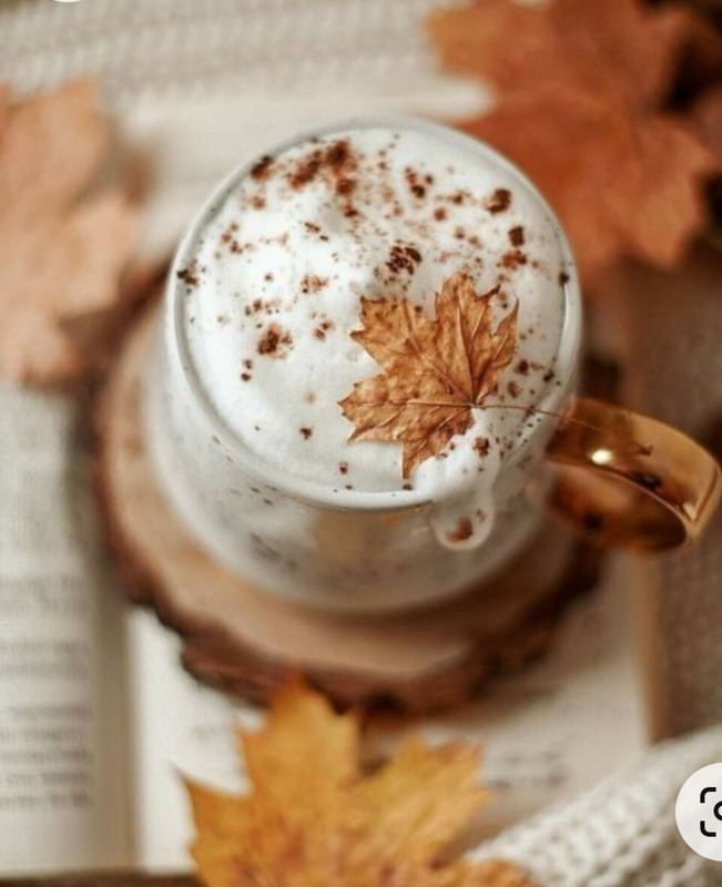 Screenshot_20221227_015419_Chrome