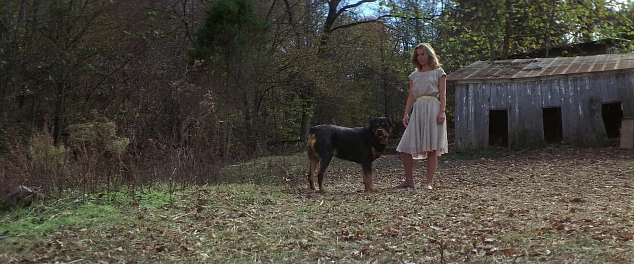 I-Walk-The-Line-1970-1080p-Blu-Ray-YTS-M