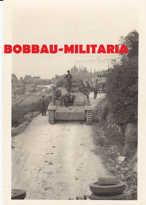 Sturmgeschütz-Brigade 201 STUG III Langrohr Grie