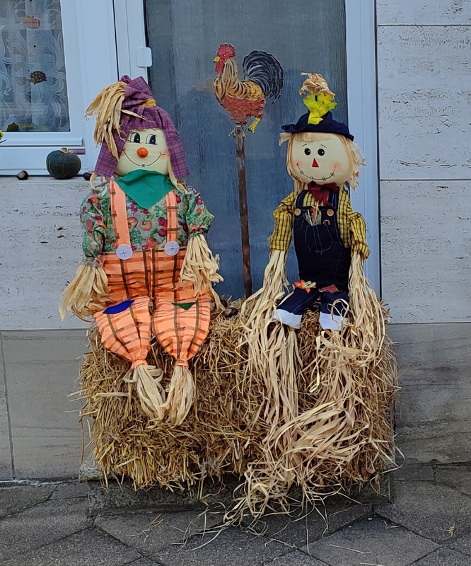 2024-10-05.jpg