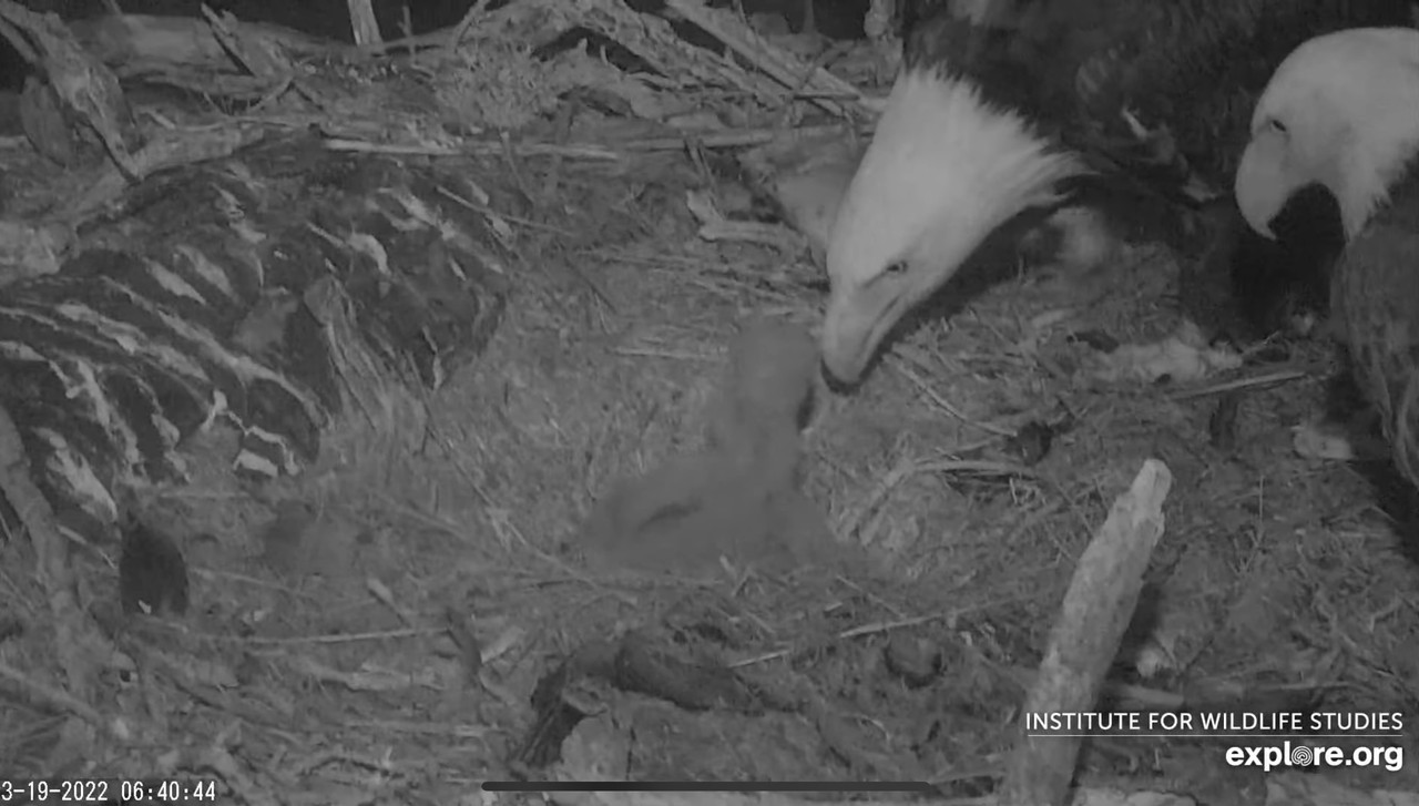 B23B9FAB-F525-43A7-9056-2B0741915924