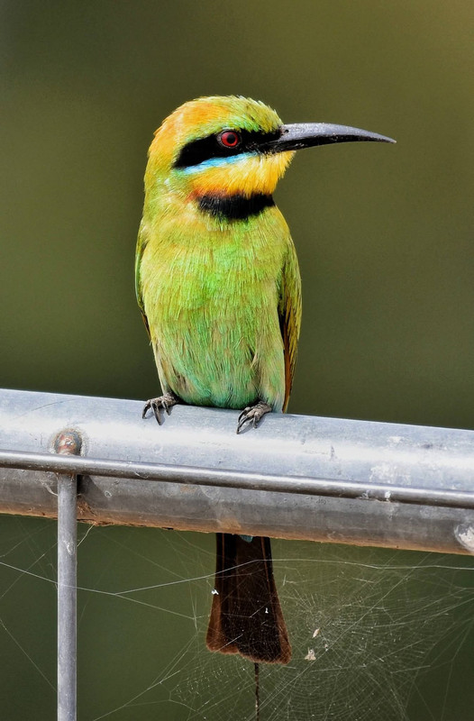 FB IMG 1767511493290