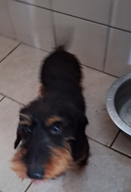 [Image: 20250708-165326.jpg]