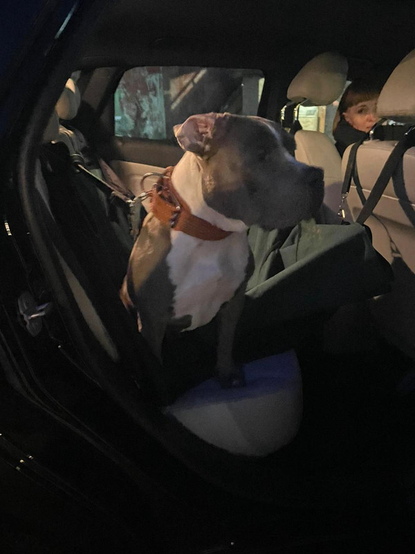 BC4096D8-CA77-4467-B4C6-1199F5A7586C