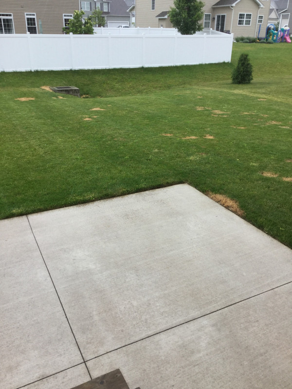 EE259950-53BB-4406-84FA-B76F81C6F3D1