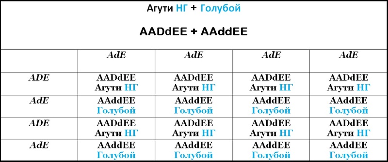 Таблица 12
