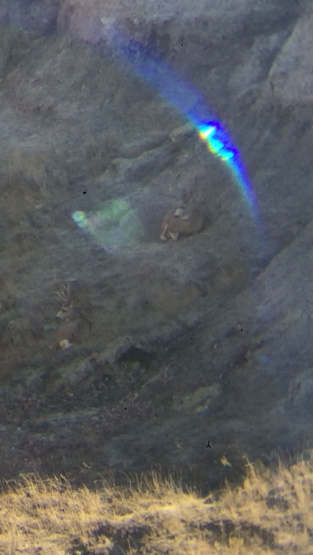 32F29992-50A1-43AF-A682-A3728D601888