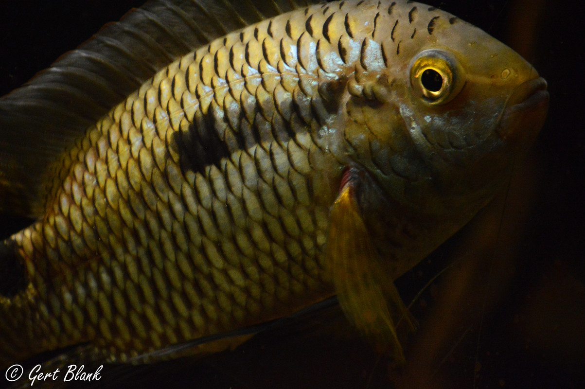 9054C57A-4BA5-43E7-AA30-D7CB7E1C1DBE