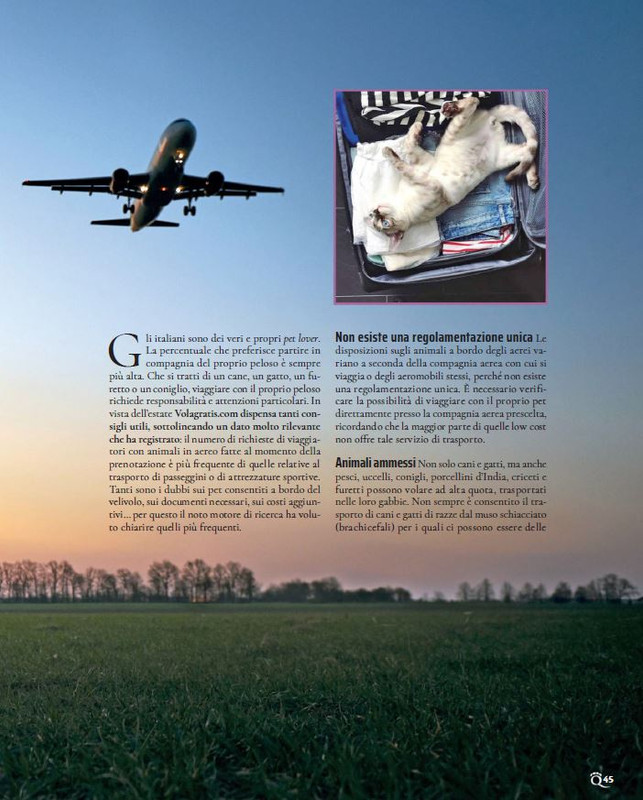 QuattroZampe Set 2022 (4)