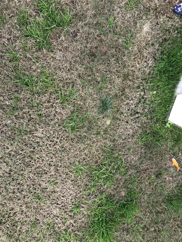 CA18FFCB-663C-4A11-A24C-006BB1F87798