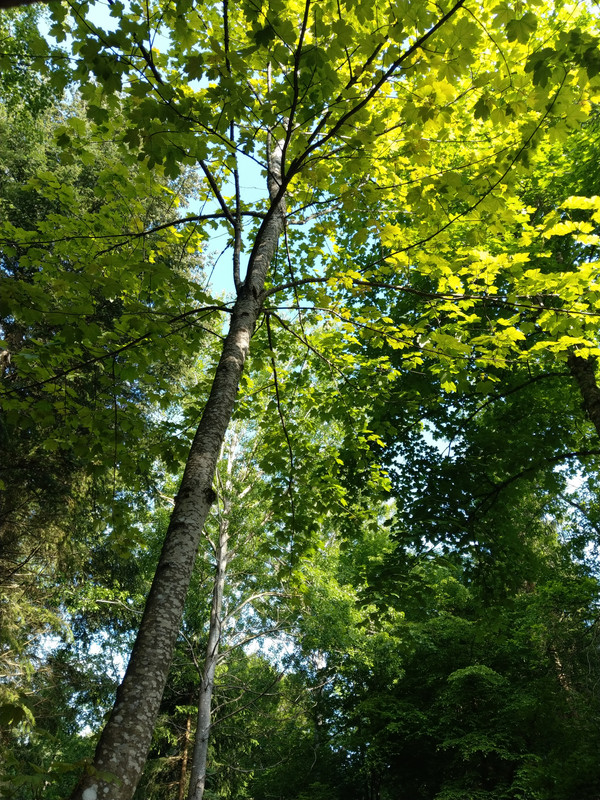 9A6C1B77-00CB-40DF-AC0C-64F5F307DE53