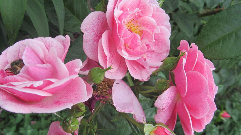 052