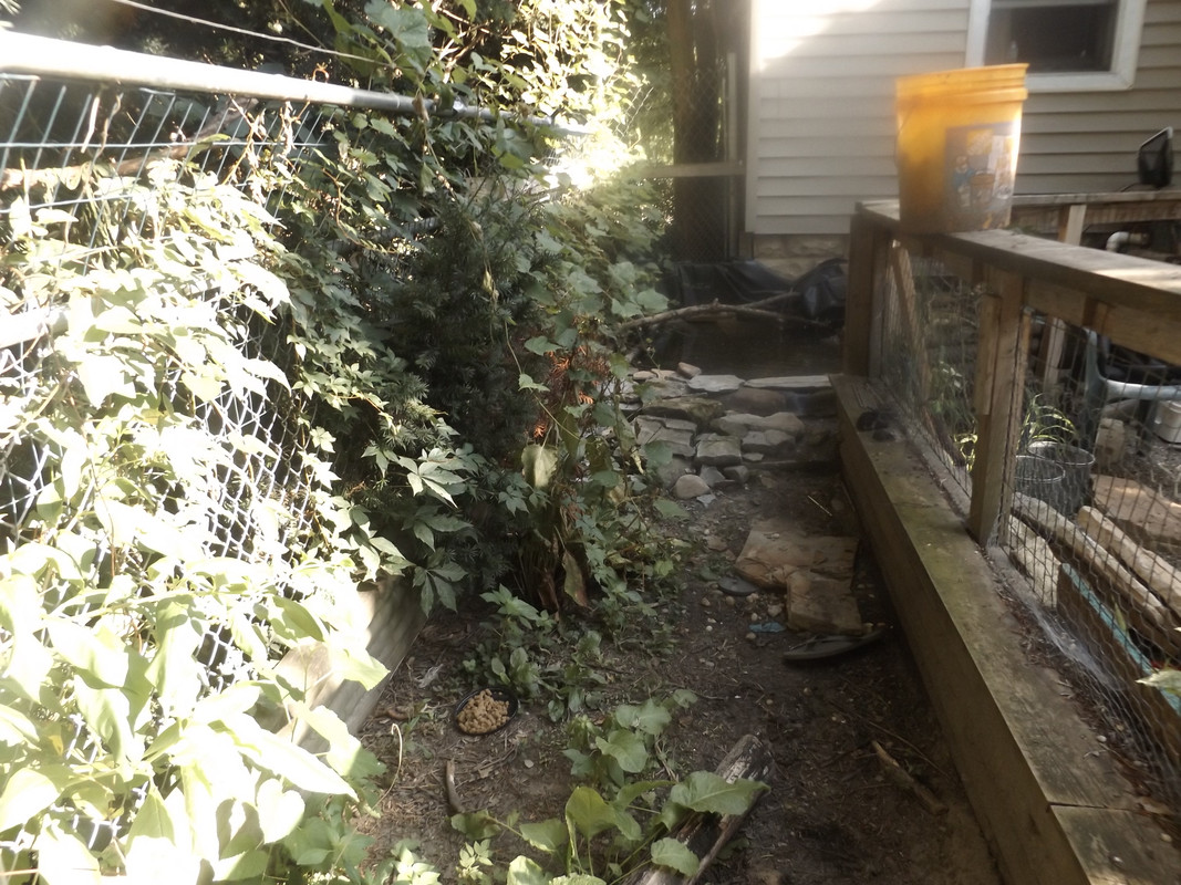 DSCF6578.jpg