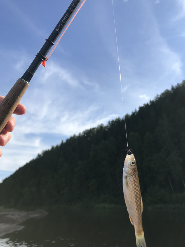 6A728857-879E-4B3D-A90B-746C0B427128