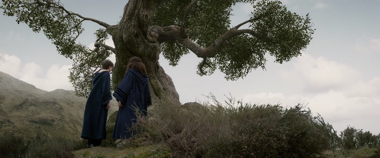 Фантастические твари Преступления Грин-де-Вальда.2018.Расширенная версия.1080p.BluRay.x264-LEONARDO.