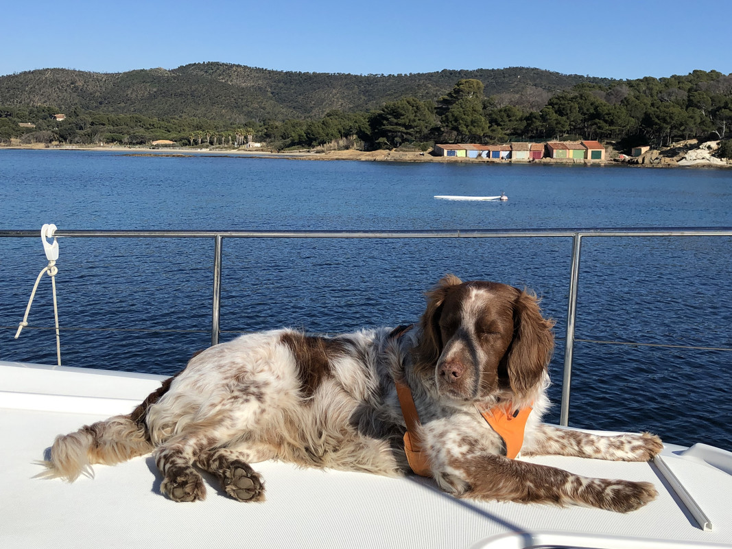 8786FE13-5DC8-48AD-ACB0-E8ED10B05009