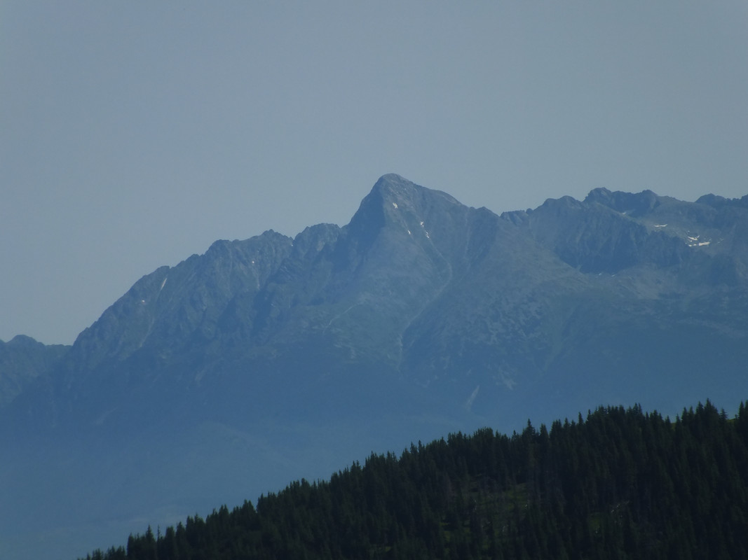 2019_0630DUMBIER0015