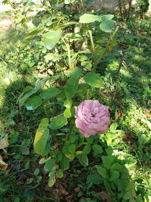20191027_122815