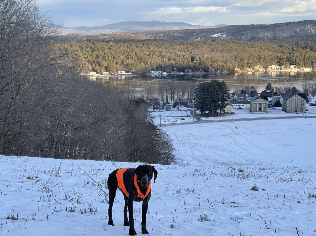 E9B8448E-492E-41CE-9718-675537D5B1EB