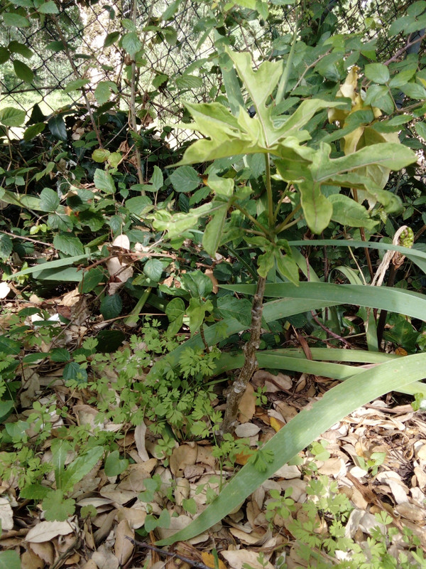 DSC_0312_resized_20190614_101518669