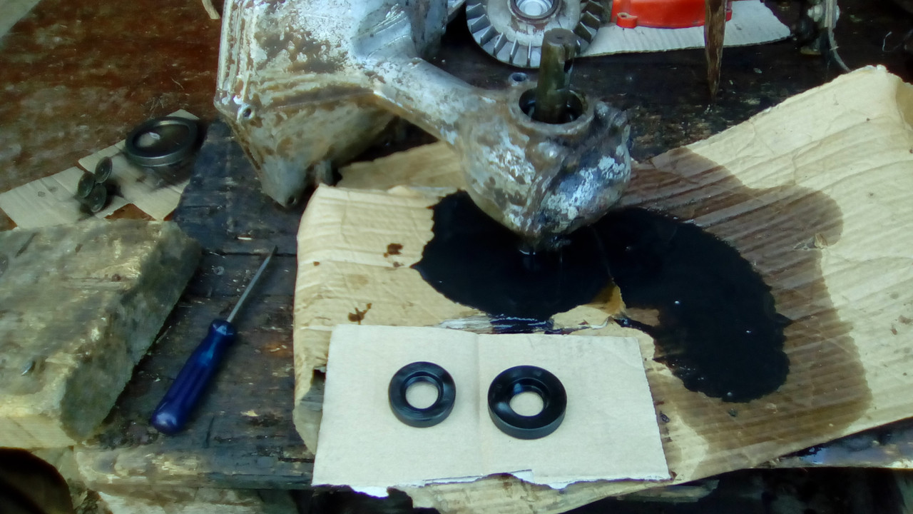 IMG_20170412_111546[1]