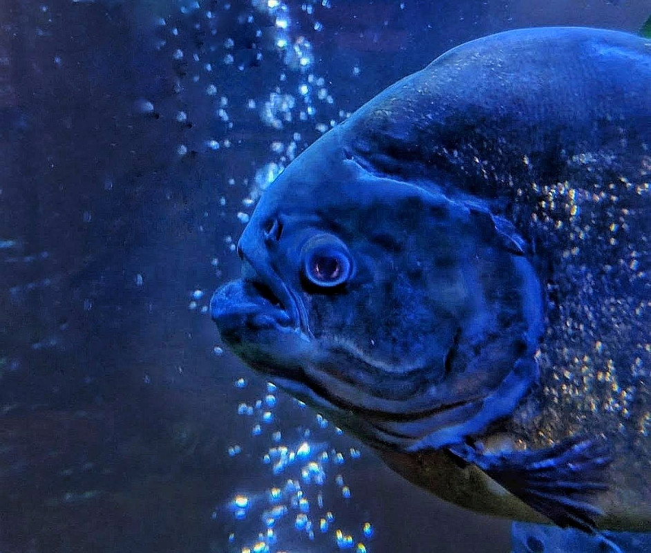 IMG-20190208-WA0008-01-01-01