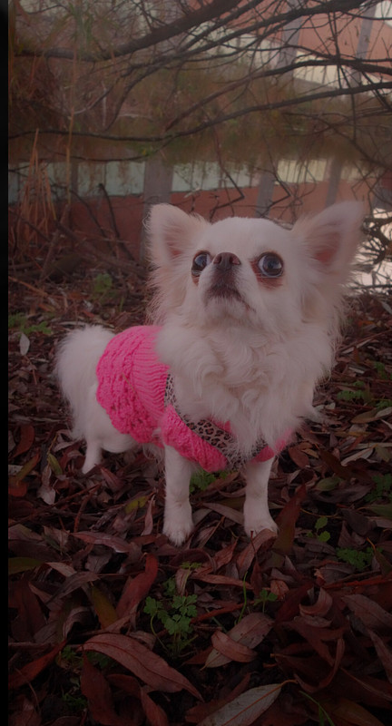 Lumii_20201129_181314468