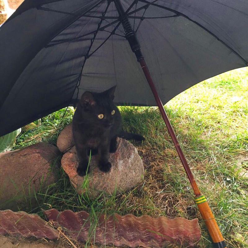 A4554121-FFAB-4FA0-BD88-C2E4CDB1764E