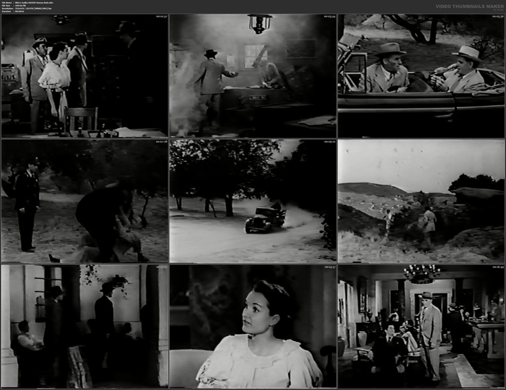 Who's Guilty S01E05 Human Bait.mkv