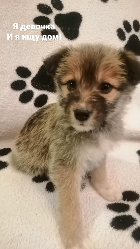 85B4207D-181D-4E6D-96CE-A61F3992B311