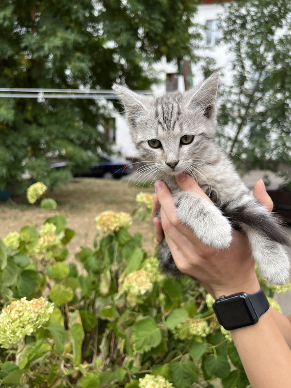 B2145854-9CB3-471C-9DEC-E17548B3E739