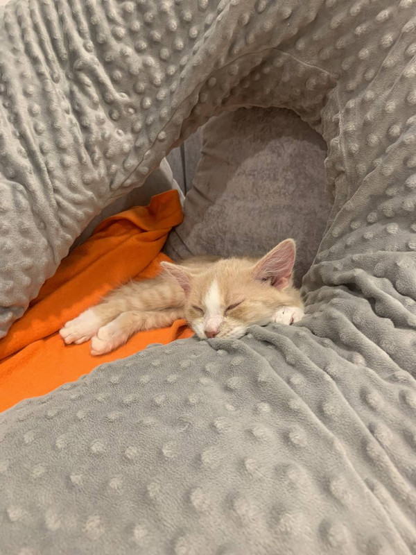 B14F4BC1-1DCE-4604-9DB7-6E9EBE38EC9B