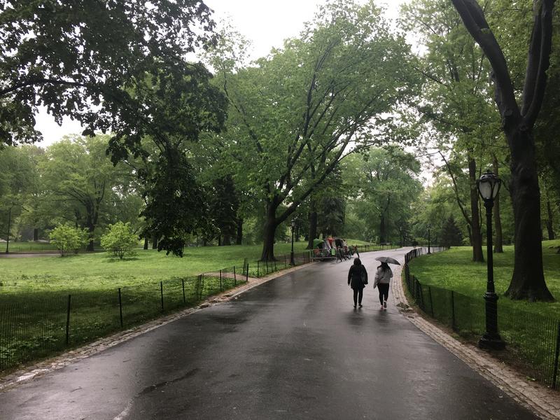 20DE0CAE-1768-4C50-AC6E-9559B81A345D